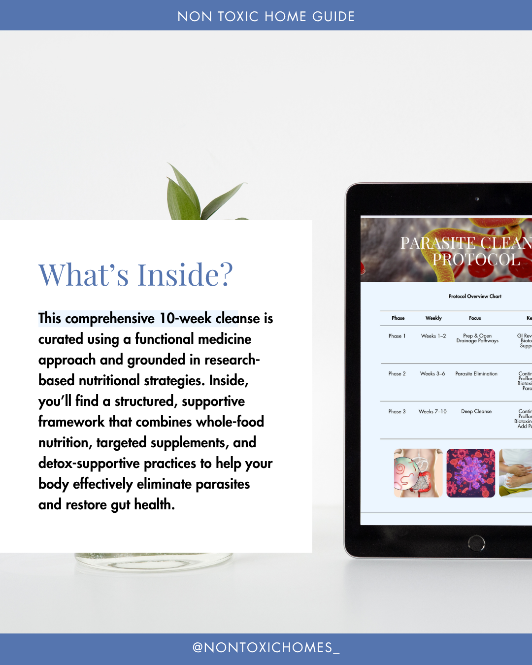 The Non Toxic Homes Parasite Cleanse Protocol