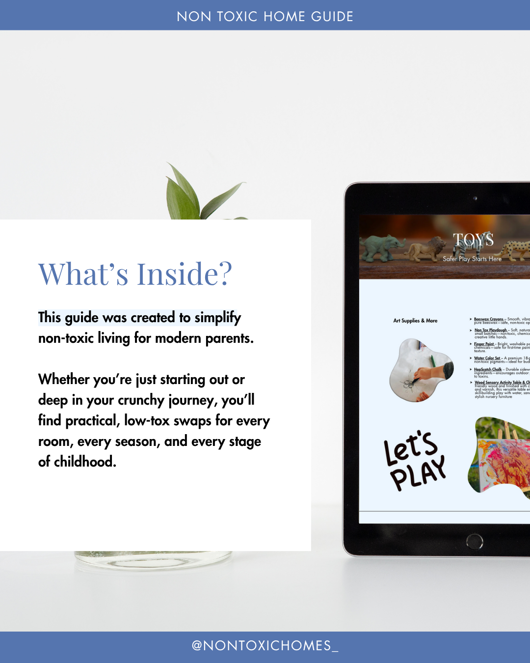 The Non Toxic Kids Guide