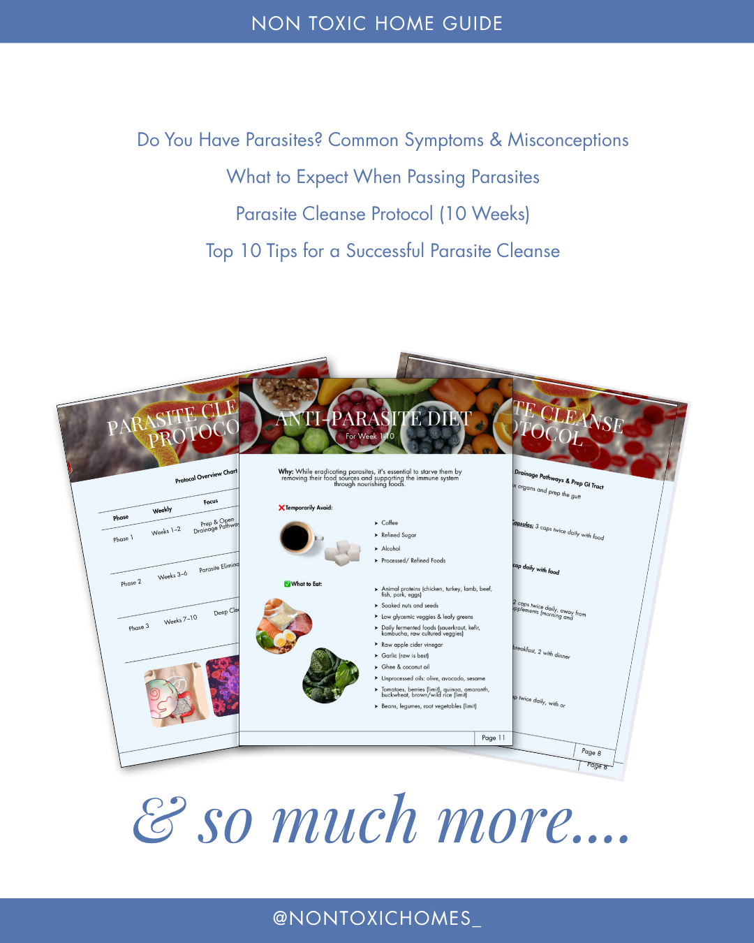 The Non Toxic Homes Parasite Cleanse Protocol