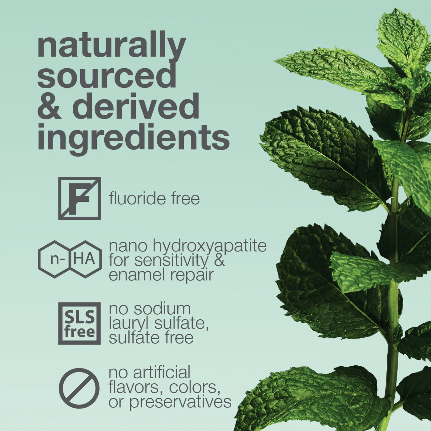 Kids + Adults Nano-Hydroxyapatite Premium Toothpaste - Mild Mint - 4 oz